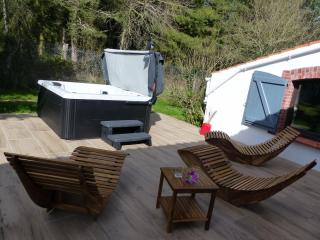 Nature et partage - Jacuzzi - Wifi - Grand-Landes - 9