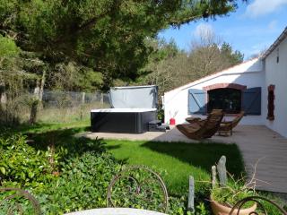 Nature et partage - Jacuzzi - Wifi - Grand-Landes - 8