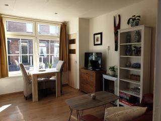 Hout 25 - Westkapelle - 8