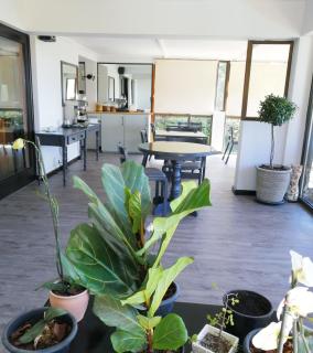 Swallows Nest Plett - 3