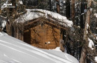 Baita Hanzel & Gretel by Livigno Accomodation - Livigno - 4
