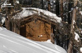 Baita Hanzel & Gretel by Livigno Accomodation - 4