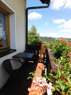 Pension und Bauernhof Petzold - Greiz - 2