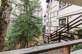 Pension Master - Sinaia - 1