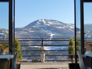 Willa Orle Gniazdo - 2