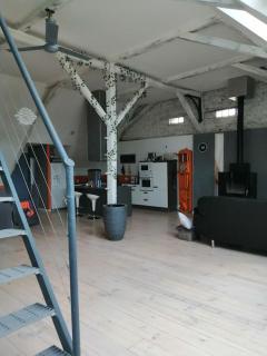 Loft au calme dans une ancienne grange béarnaise - 4