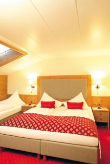Living & Spa Vitalhotel Edelweiss - Neustift im Stubaital - 9