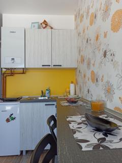 Apartman Studio LASTIN PUT Divčibare - Divčibare - 1