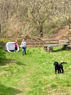 Yr Hen Siop - 4 bed welsh cottage in Snowdonia - 3