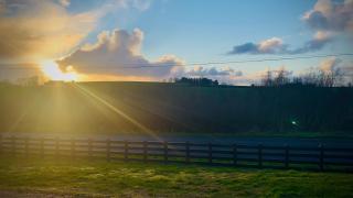 Gracehill Lodge - Guest Accommodation - Stranocum - 7