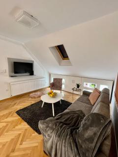 Prestige Apartment 3 - Novi Sad - 7