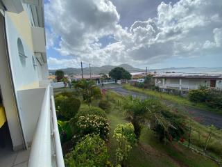 LES HIBISCUS - Sainte-Luce - 4