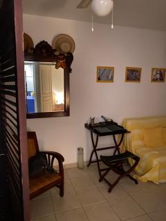 LES HIBISCUS - Sainte-Luce - 8