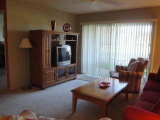 Vista Verde W Isla del Sol is Calling - Enjoy & Escape - St Petersburg - 5