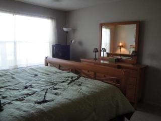 Vista Verde W Isla del Sol is Calling - Enjoy & Escape - St Petersburg - 4