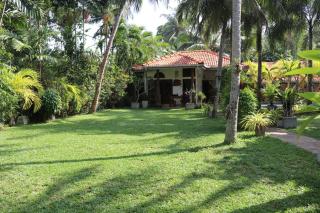 Pavana Hotel - Negombo - 8