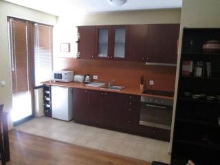 Comfort Private Apartments - Bansko - 7