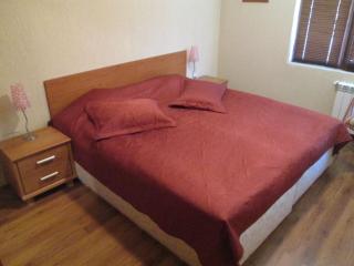 Comfort Private Apartments - Bansko - 5
