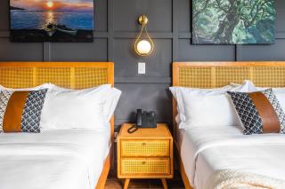 The Modernist Hotel - Long Island City - 4