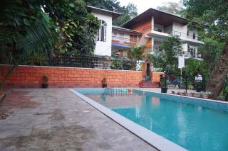 Spice Jungle Resort - Munnar - 8