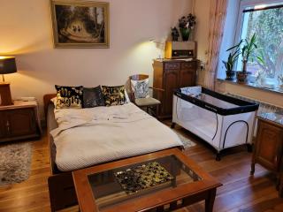 ApartHome Barbara 2 - Toruń - 7