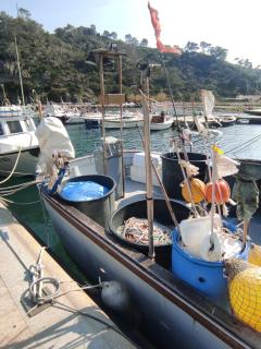 CASA VACANZE IN CAPRAIA ISOLA - 2