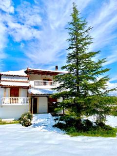 Villa Vasiliki - Palioúras - 6