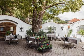 PENSION Hinterleithner - 5