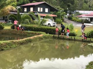 Noungan Farm - Penampang - 8