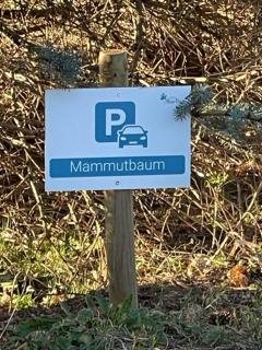 Naturidyll Mariendorf - Ferienwohnung Mammutbaum - Mariendorf - 6