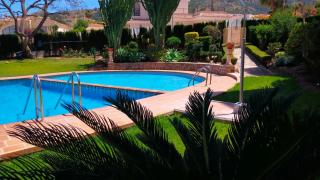 Seaview Dream Albir - Albir - 8