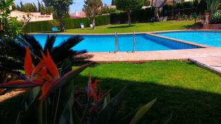 Seaview Dream Albir - Albir - 5