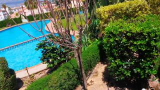 Seaview Dream Albir - Albir - 2