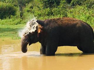 SUNRISE SAFARI HOUSE - 2