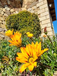 Agriturismo la stragola - 1