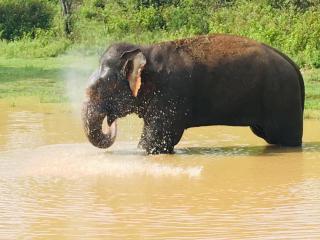 SUNRISE SAFARI HOUSE - 6