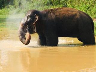 SUNRISE SAFARI HOUSE - 7