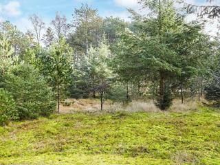 4 person holiday home in Store Fuglede-By Traum - 6
