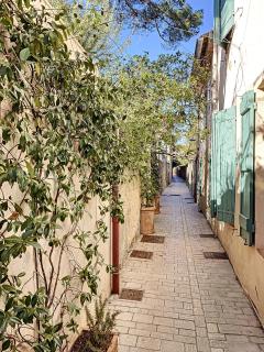 Le Papillon de Saint-Tropez - 5