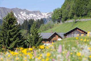 Bödmerhof - Mittelberg - 8