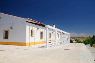 Corvos e Cadavais - Almodôvar - 0