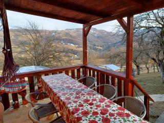 Relaxare in Sohodol, Alba - 9