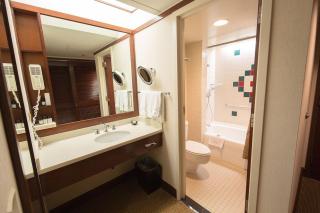 Alyeska Resort - Girdwood - 8