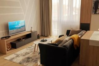 A unique ultra-central, modern apartment - Timişoara - 0