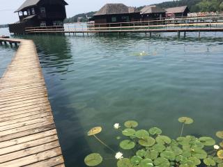 Apartementhaus Helene am Klopeinersee - Unterburg am Klopeiner See - 9