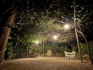 Casale Scola Cetona - Cetona - 5