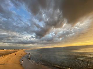 Beach Lovers Surf House - Aveiro - Praia da Barra - Praia da Barra - 4