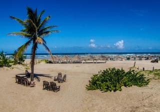 Lorencillo Miramar - 6