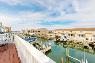 Dolphin Bay i - Ocean City - 0