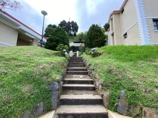 Mountain Retreat - A Hill Country Resort - Ooty - 3